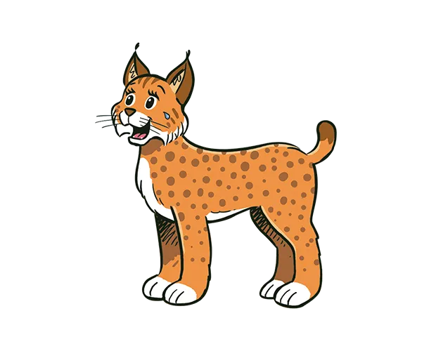 Linx librio009 Gobi